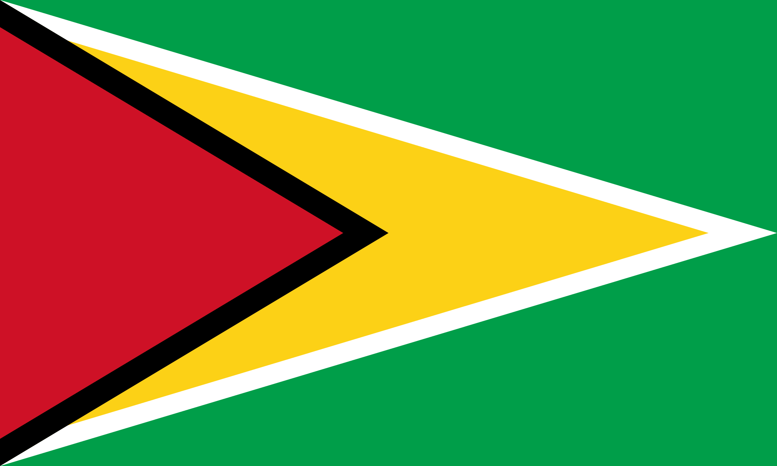 Länderflagge Guyana